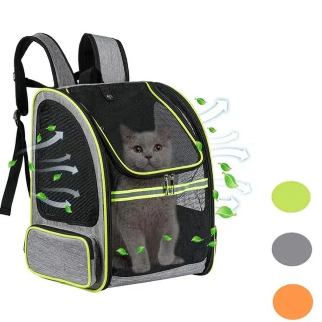 Bolsa de transporte para cobaias